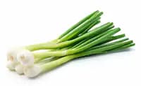 بصل اخضر - جامبو